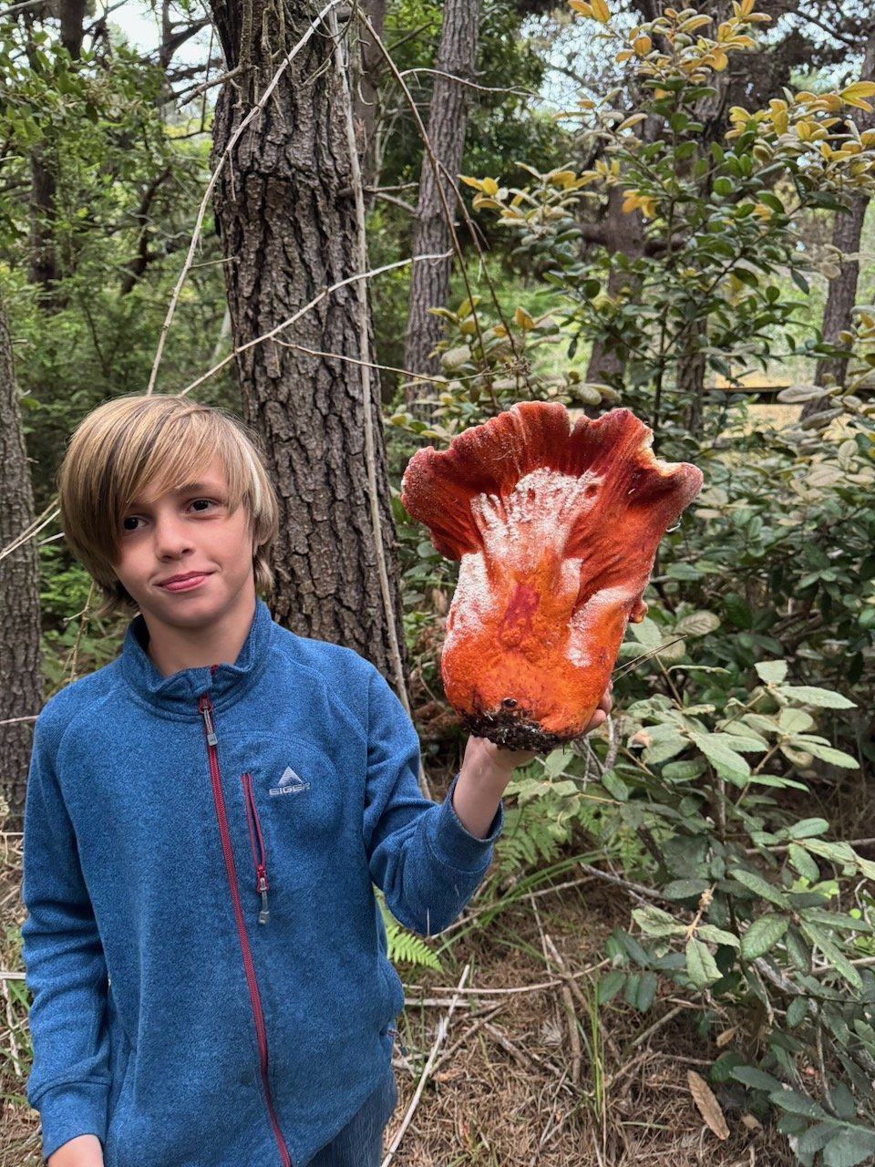 A boy in the forest holding up an enormous orange lobster mushroom the size of his head