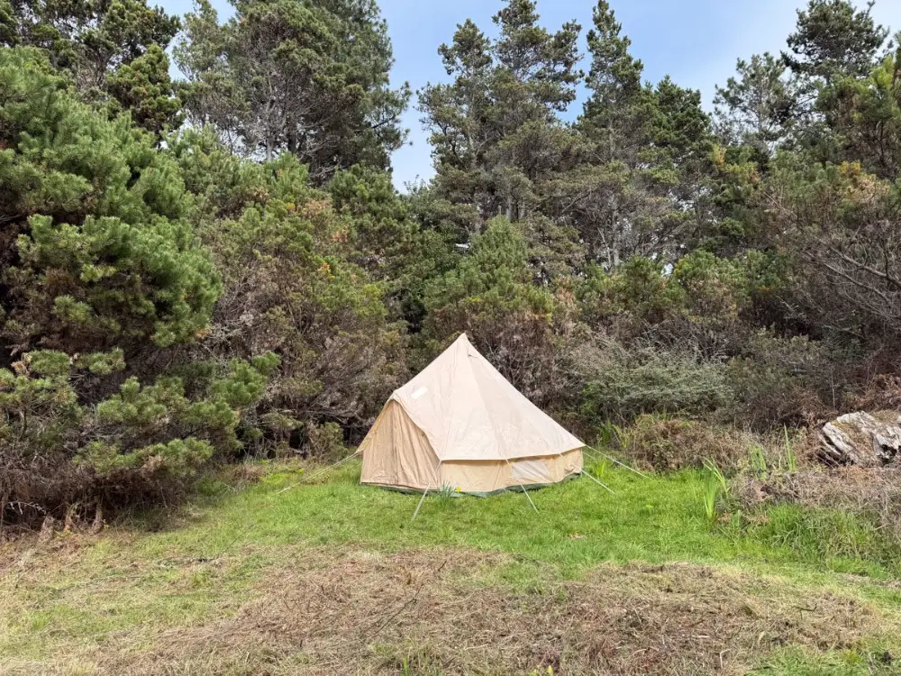 A canvas bell tent in a grassy clearing ringed by trees
